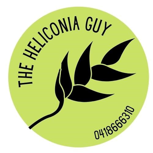 The Heliconia Guy